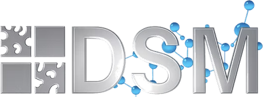DSM Lutz Meiwald & Partner GbR – Logo